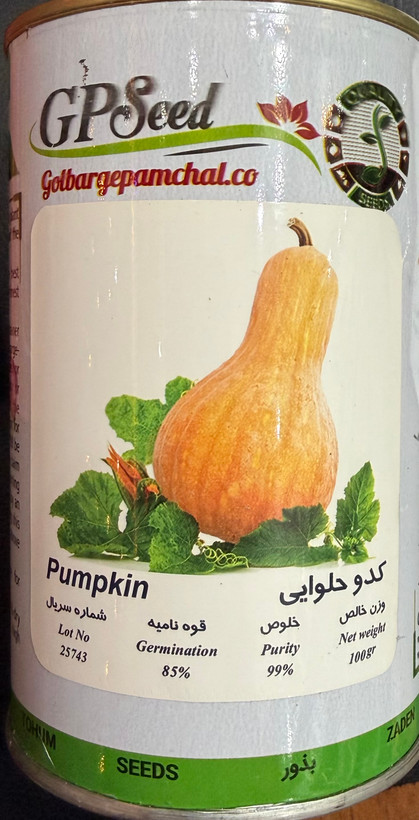 بذر کدوحلوایی قوطی ۱۰۰ گرمی